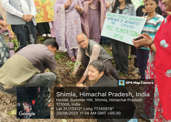 Tree Plantation Drive